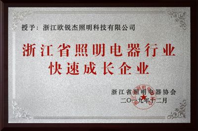 浙江省照明电器行业快速成长企业