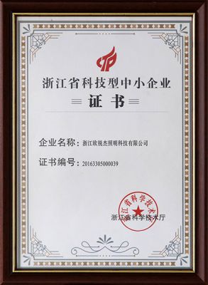 浙江省科技型中小企业