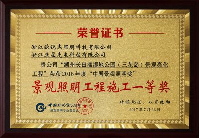 长田漾湿地公园景观照明施工一等奖