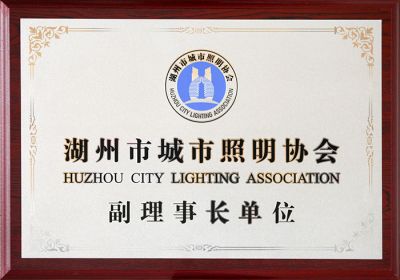 湖州照明协会副理事长单位