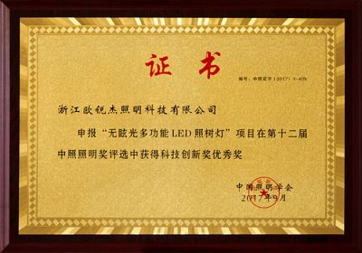 第十二届中照照明奖-科技创新优秀奖