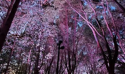 丽水滨水公园