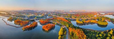 云上流光丨虎丘湿地公园